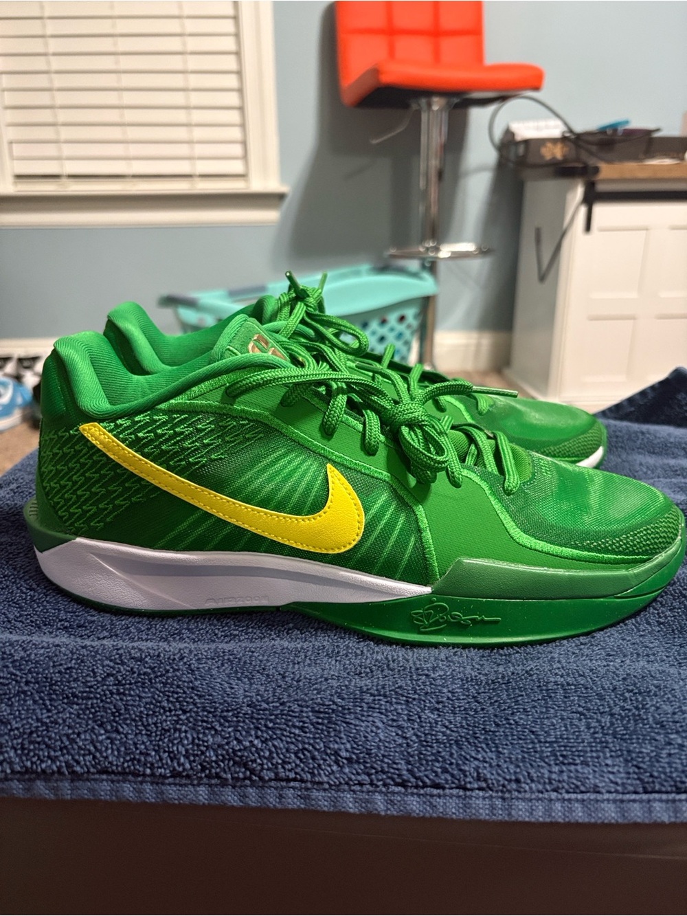 Nike Wmns Sabrina 2 'Oregon' Brand new Never worn no Box